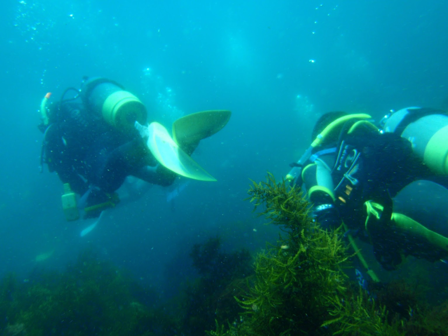 ダイビングライセンス取得5〜海洋実習前篇〜