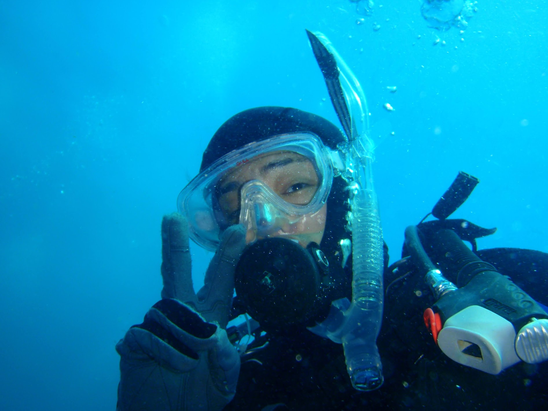 ダイビングライセンス取得6〜海洋実習後篇〜