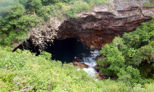 スキューバダイビング@サイパン2010 2日目