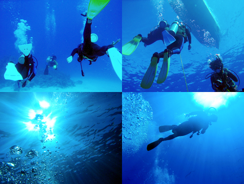 スキューバダイビング@サイパン2010 4日目