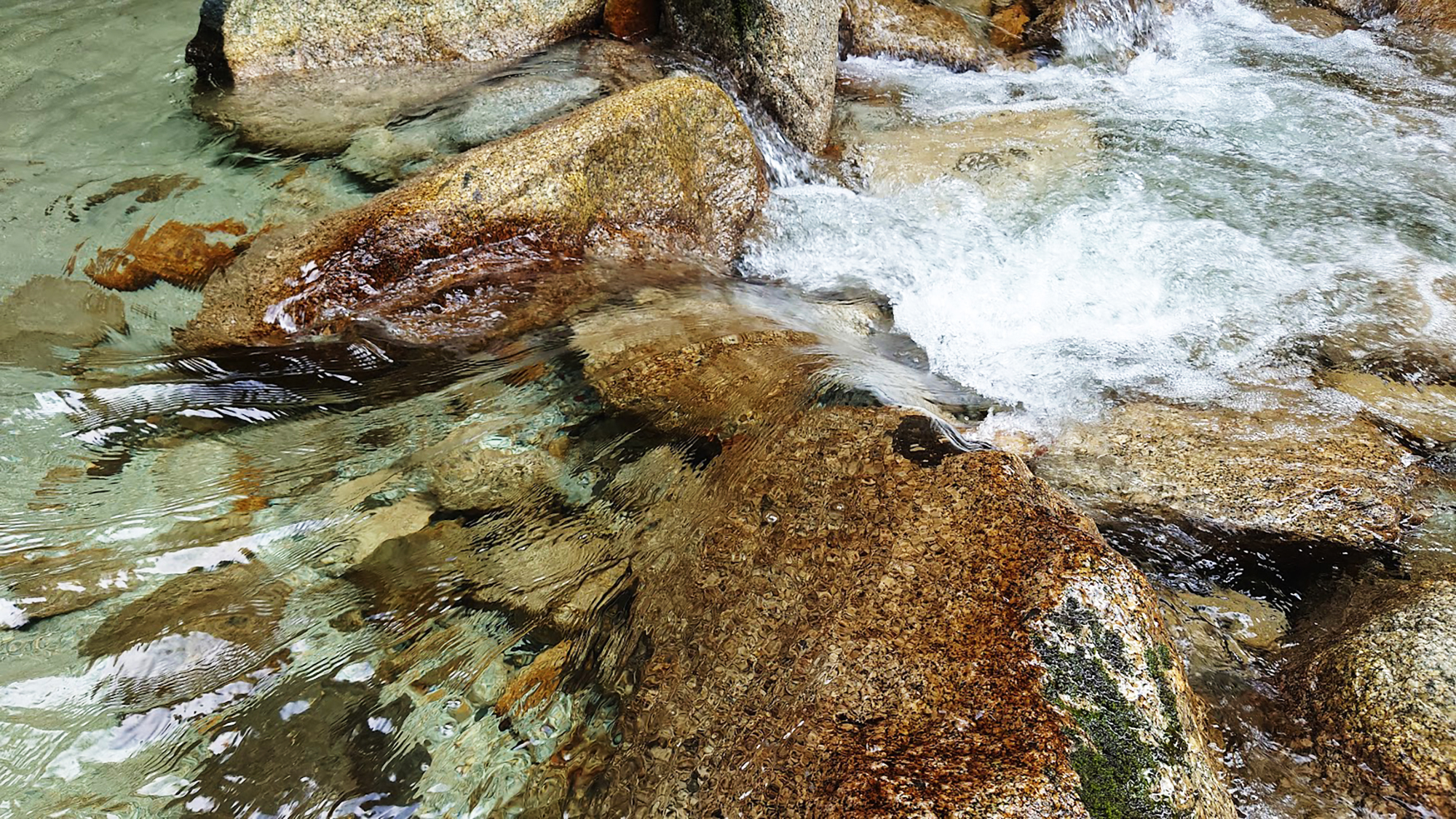 2022年版 水難事故防止アドバイス